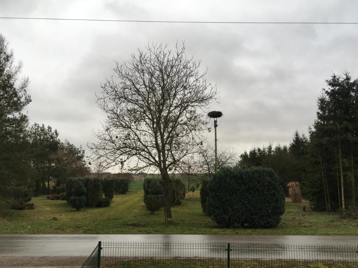 Villa Agroturstyka U Witka Brynica Mokra Exterior foto